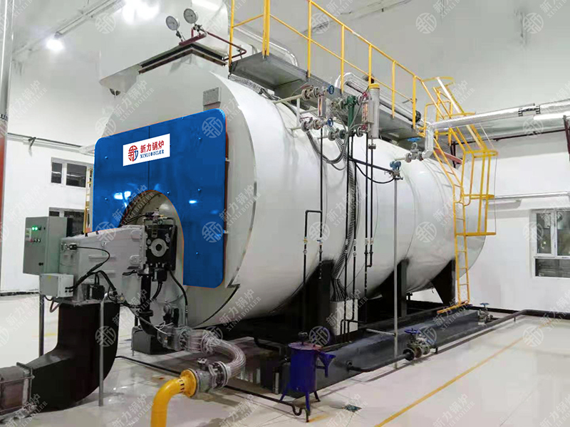 WNS系列冷凝式燃?xì)庹羝仩t項目