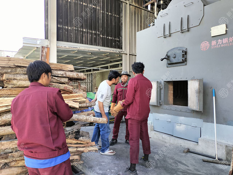 綠色能源助力！新力生物質(zhì)鍋爐DZH4在柬埔寨食品廠點火試運行成功！